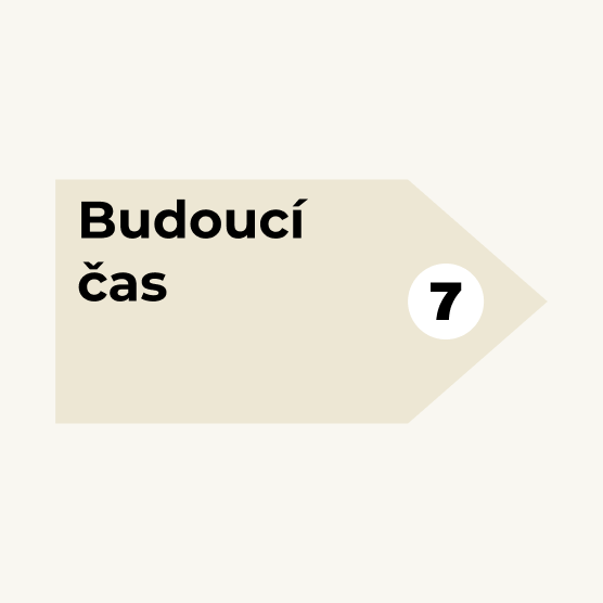 Samostatná lekce