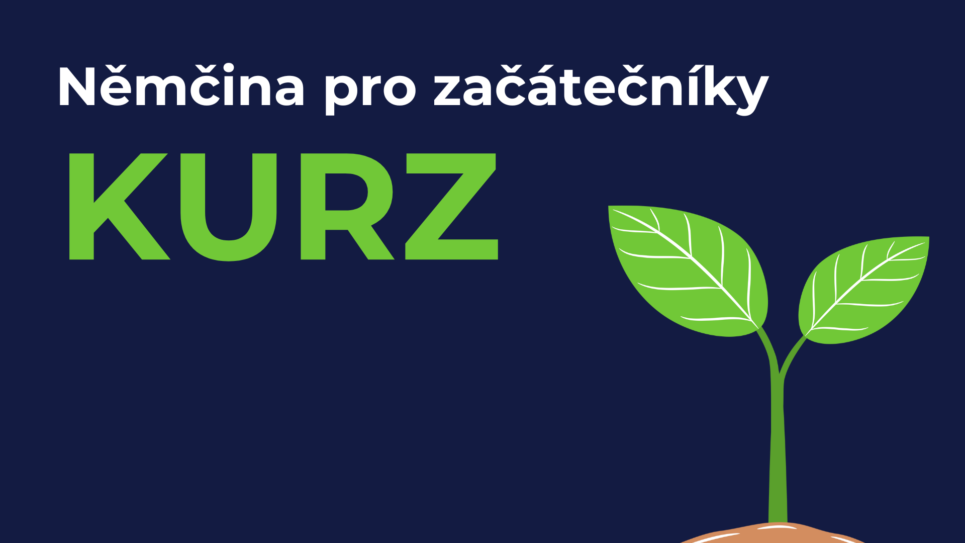 kurz pro začátečníky